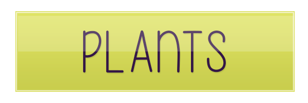 plants button