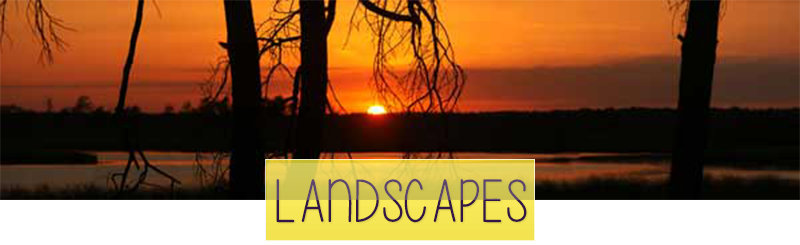 landscapes